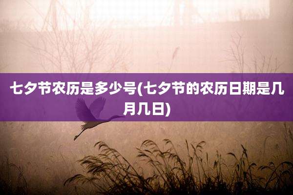 七夕节农历是多少号(七夕节的农历日期是几月几日)