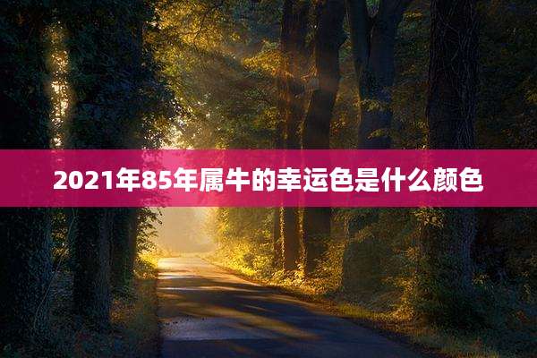 2021年85年属牛的幸运色是什么颜色
