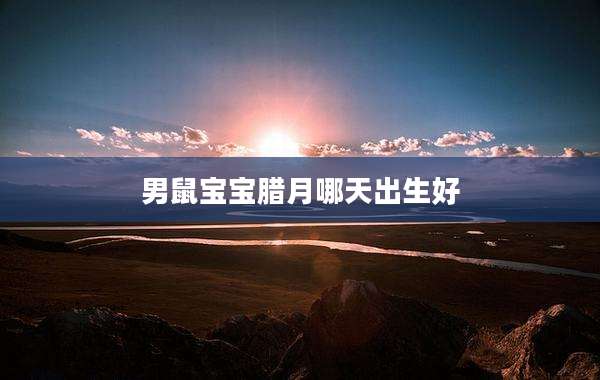 男鼠宝宝腊月哪天出生好