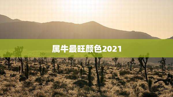属牛最旺颜色2021