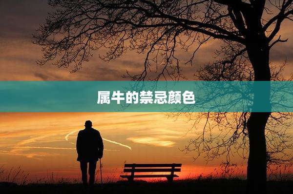 属牛的禁忌颜色