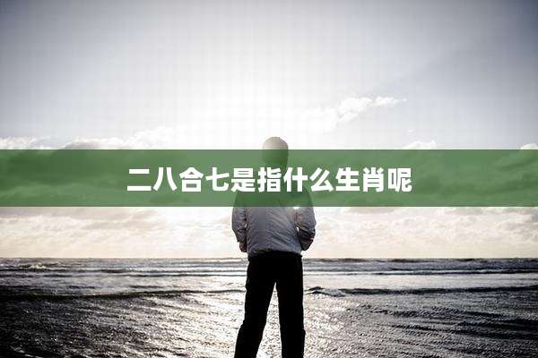 二八合七是指什么生肖呢