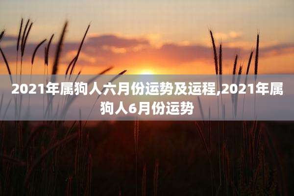 2021年属狗人六月份运势及运程,2021年属狗人6月份运势