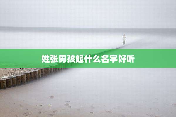 姓张男孩起什么名字好听