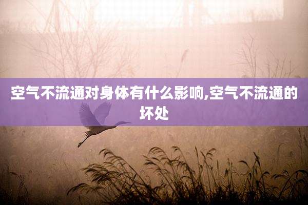 空气不流通对身体有什么影响,空气不流通的坏处