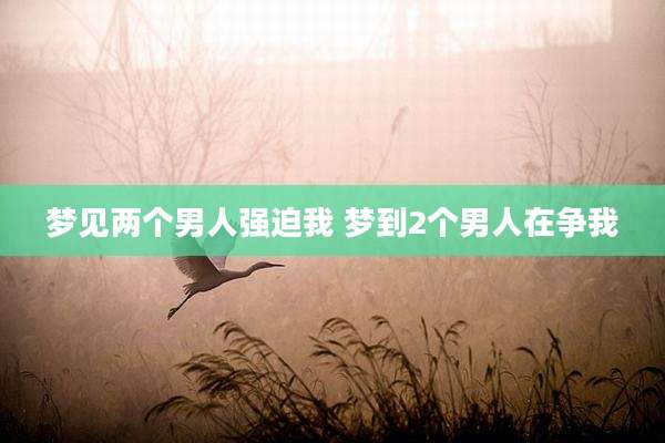 梦见两个男人强迫我 梦到2个男人在争我