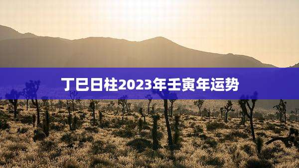丁巳日柱2023年壬寅年运势