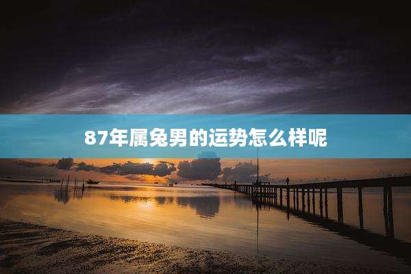 87年属兔男的运势怎么样呢