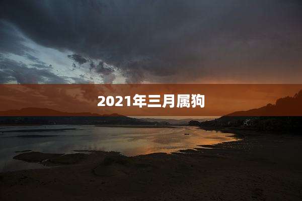2021年三月属狗