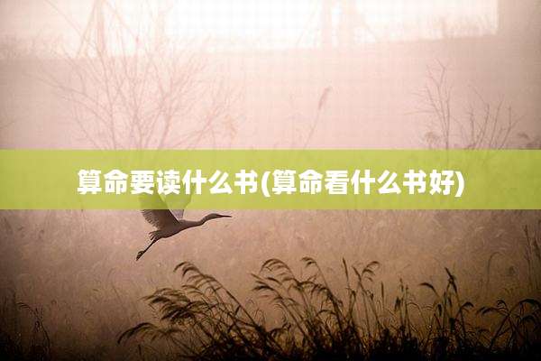 算命要读什么书(算命看什么书好)