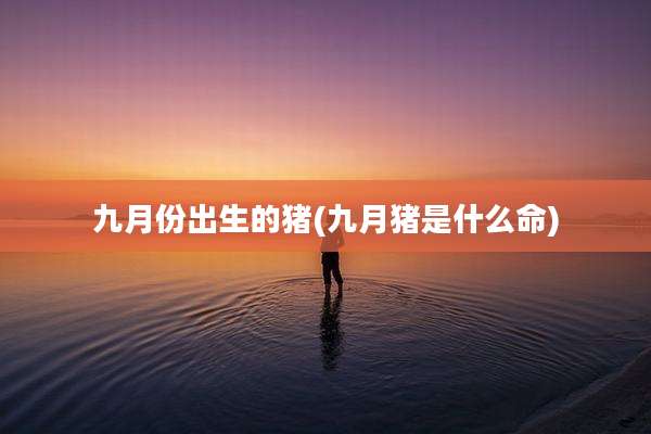 九月份出生的猪(九月猪是什么命)