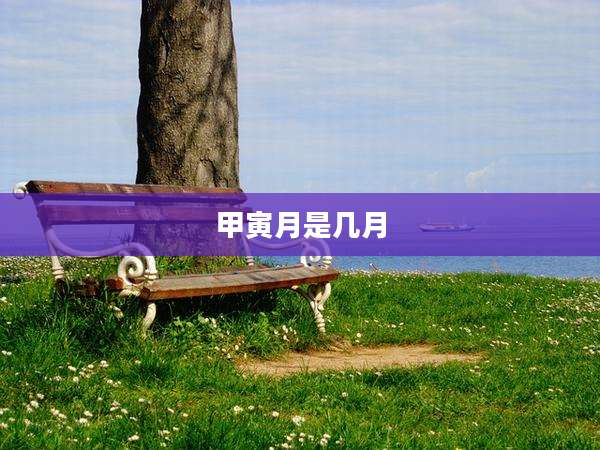 甲寅月是几月