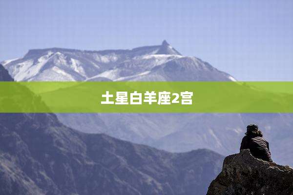 土星白羊座2宫