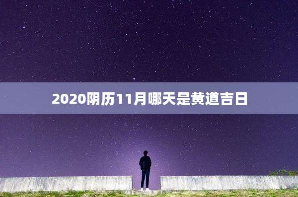2020阴历11月哪天是黄道吉日