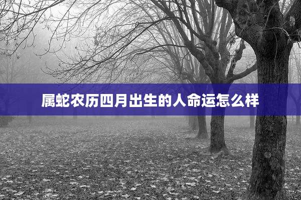 属蛇农历四月出生的人命运怎么样