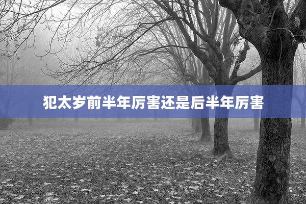 犯太岁前半年厉害还是后半年厉害
