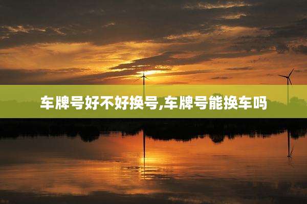 车牌号好不好换号,车牌号能换车吗