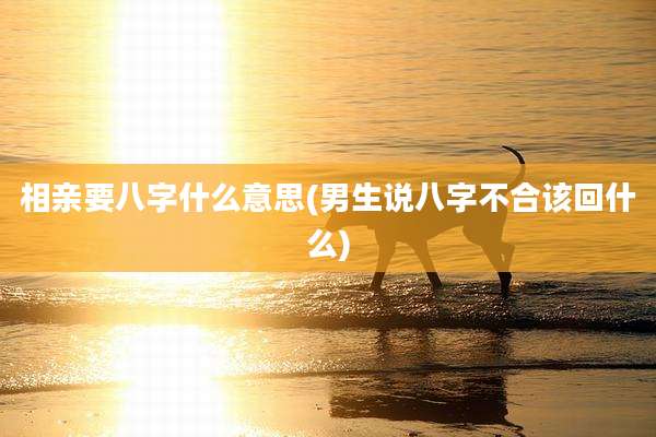 相亲要八字什么意思(男生说八字不合该回什么)