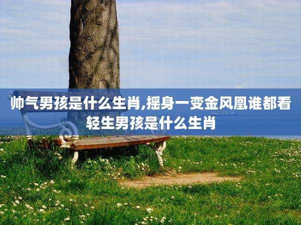 帅气男孩是什么生肖,摇身一变金风凰谁都看轻生男孩是什么生肖
