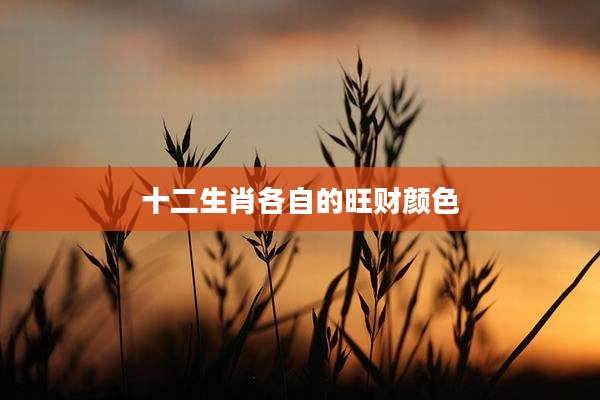 十二生肖各自的旺财颜色