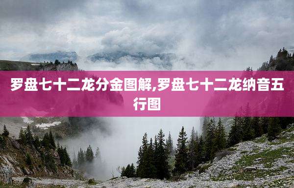 罗盘七十二龙分金图解,罗盘七十二龙纳音五行图
