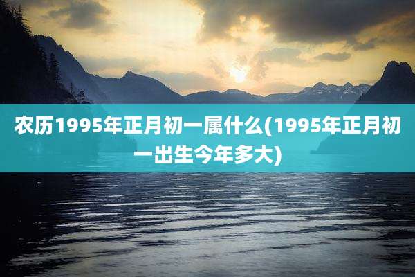 农历1995年正月初一属什么(1995年正月初一出生今年多大)