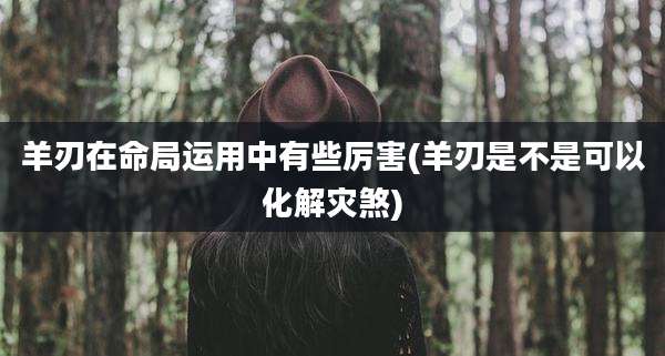 羊刃在命局运用中有些厉害(羊刃是不是可以化解灾煞)