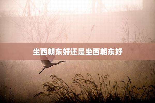 坐西朝东好还是坐西朝东好