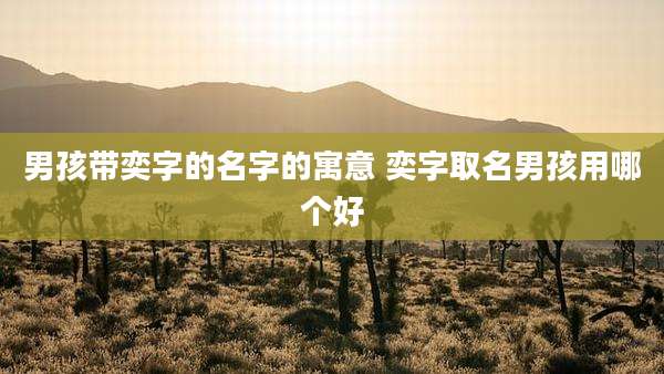 男孩带奕字的名字的寓意 奕字取名男孩用哪个好