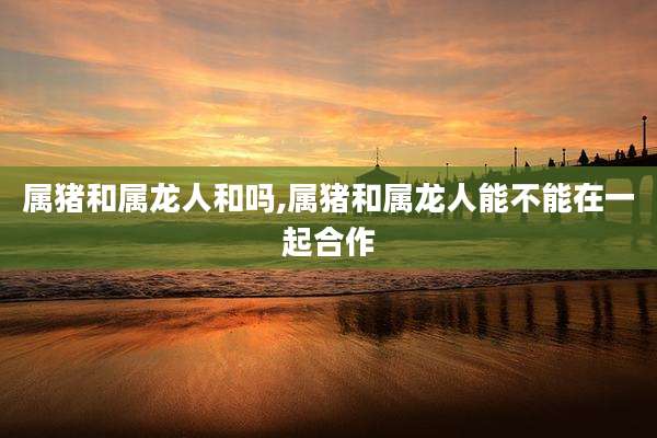 属猪和属龙人和吗,属猪和属龙人能不能在一起合作