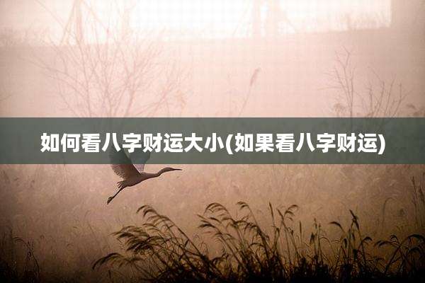 如何看八字财运大小(如果看八字财运)