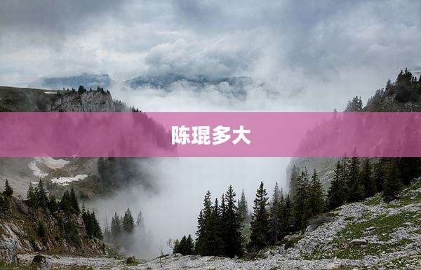 陈琨多大