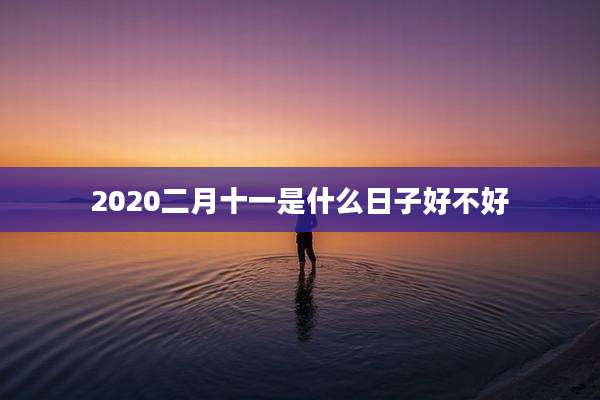 2020二月十一是什么日子好不好