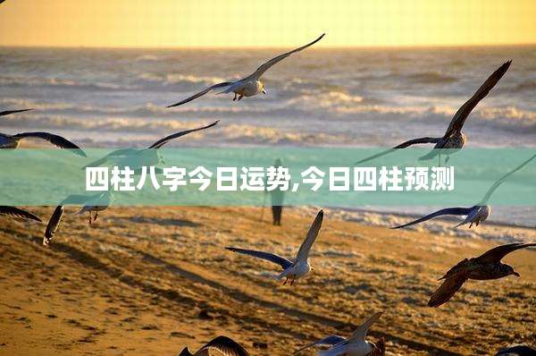 四柱八字今日运势,今日四柱预测