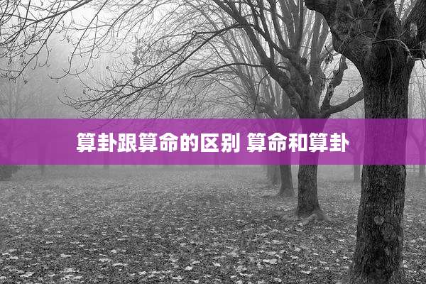 算卦跟算命的区别 算命和算卦