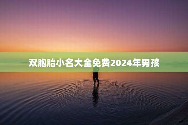双胞胎小名大全免费2024年男孩