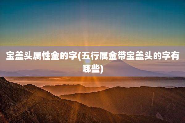 宝盖头属性金的字(五行属金带宝盖头的字有哪些)