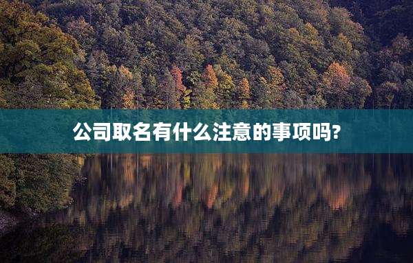 公司取名有什么注意的事项吗?