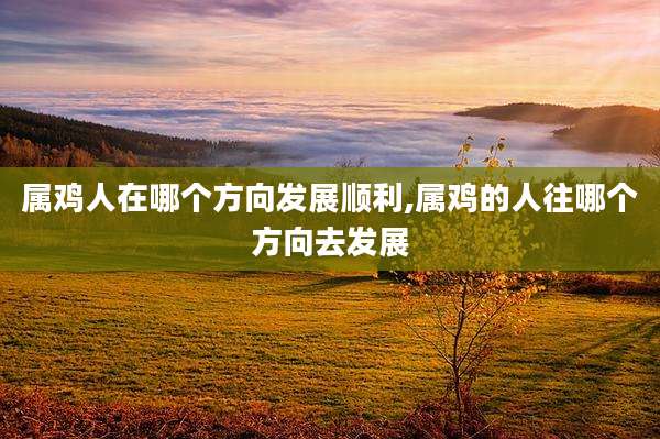 属鸡人在哪个方向发展顺利,属鸡的人往哪个方向去发展