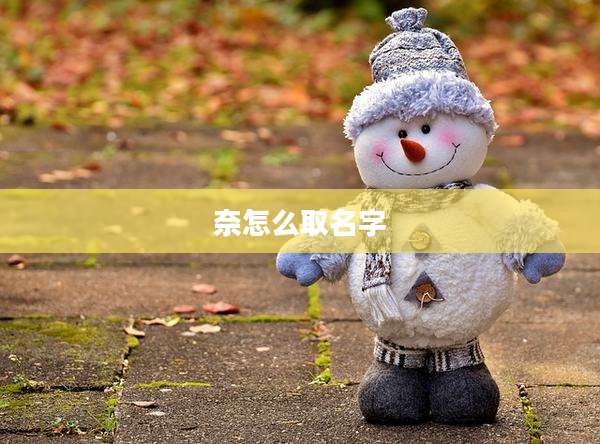 奈怎么取名字