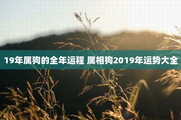 19年属狗的全年运程 属相狗2019年运势大全