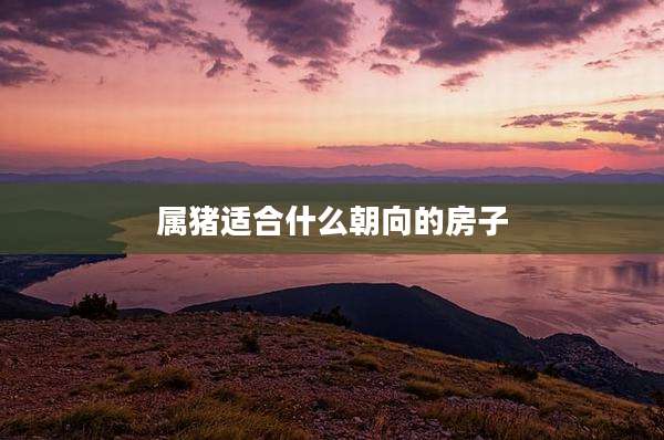 属猪适合什么朝向的房子