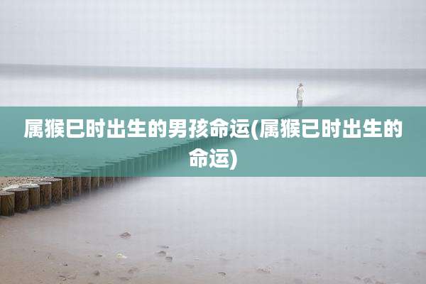 属猴巳时出生的男孩命运(属猴已时出生的命运)