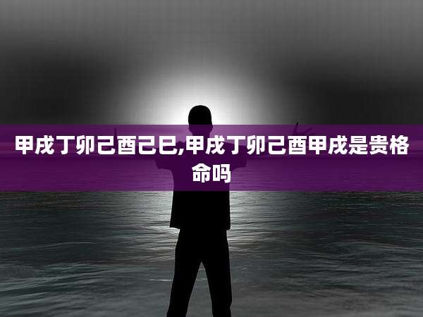 甲戌丁卯己酉己巳,甲戌丁卯己酉甲戌是贵格命吗