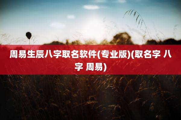 周易生辰八字取名软件(专业版)(取名字 八字 周易)