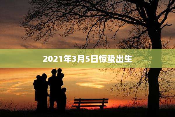 2021年3月5日惊蛰出生
