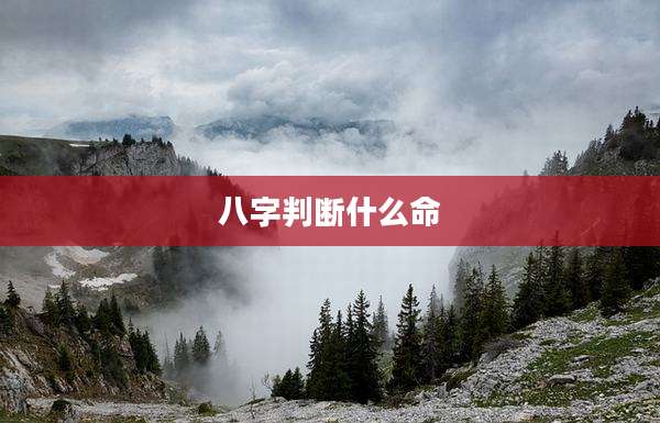 八字判断什么命
