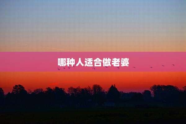 哪种人适合做老婆