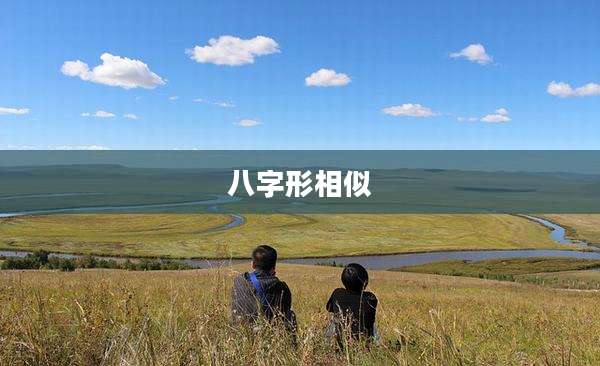 八字形相似
