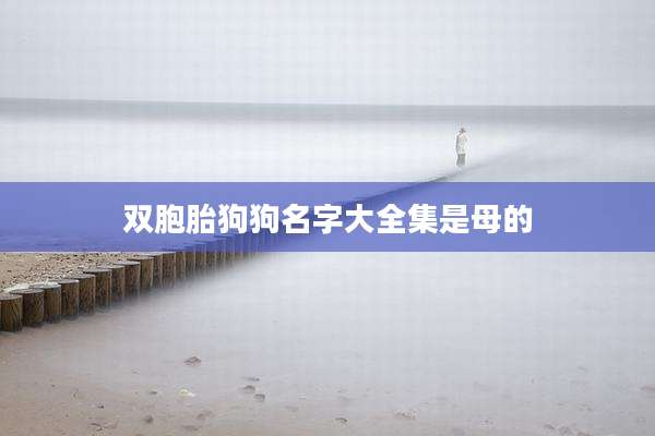 双胞胎狗狗名字大全集是母的